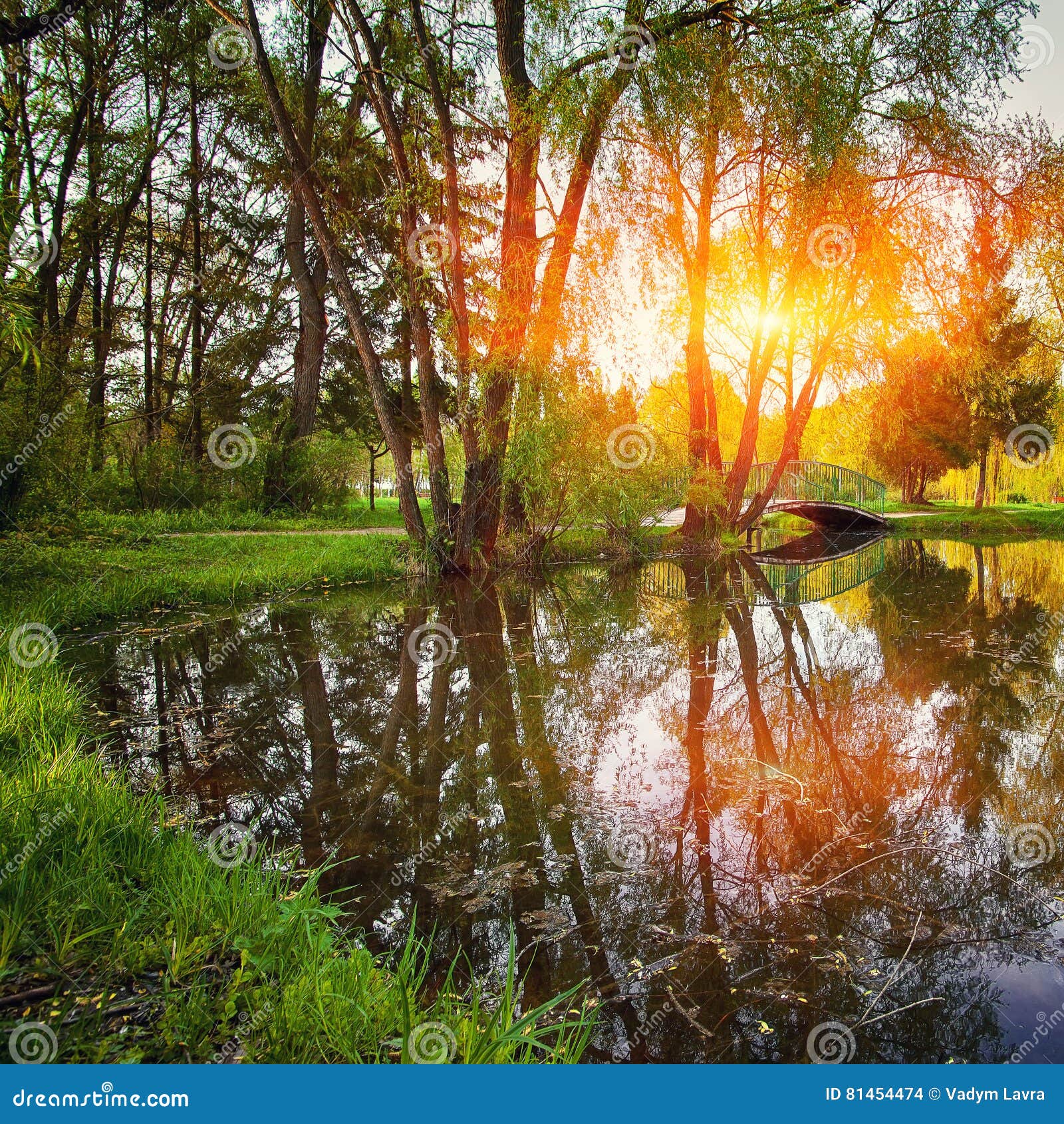 My Image 23