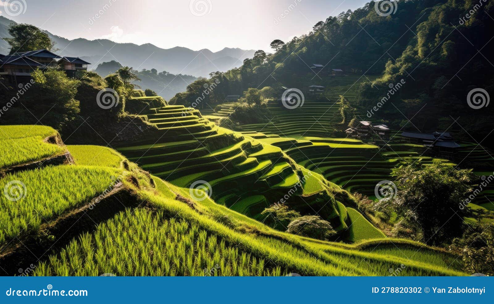 Tranquil Rice Terraces Cascading Down a Mountainside. Generative AI