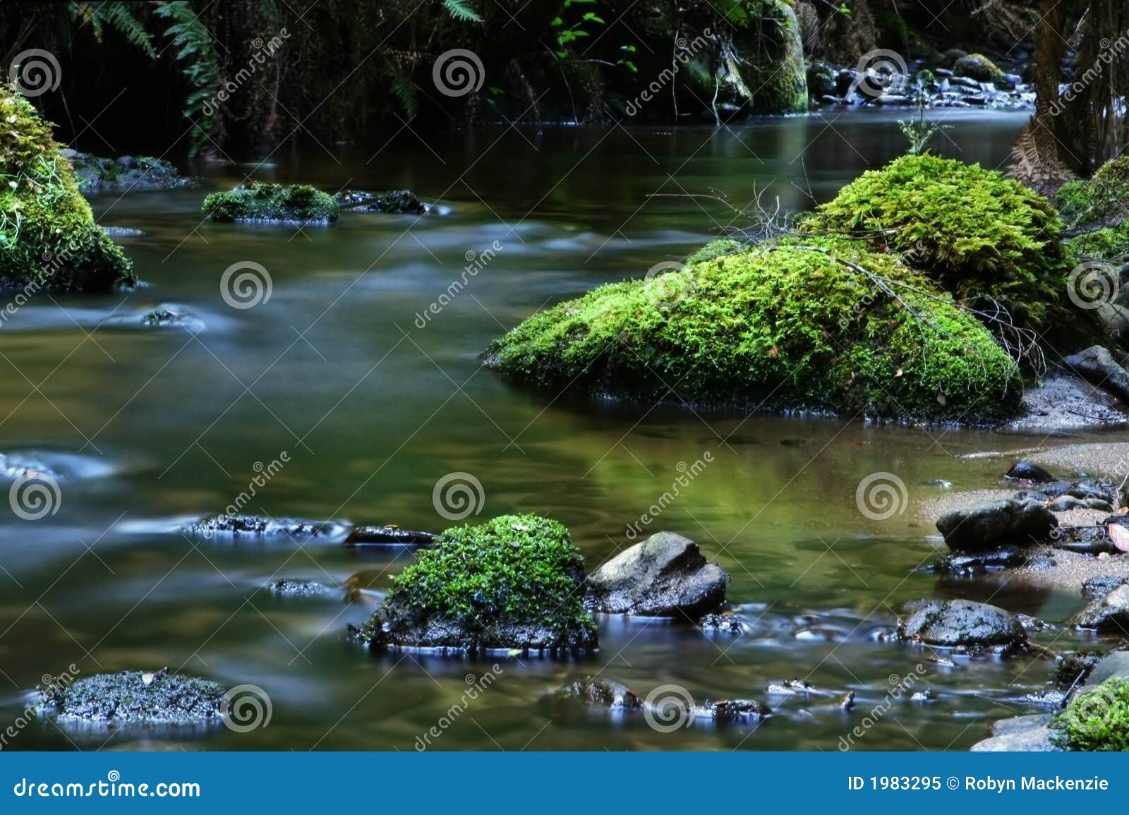 tranquil river