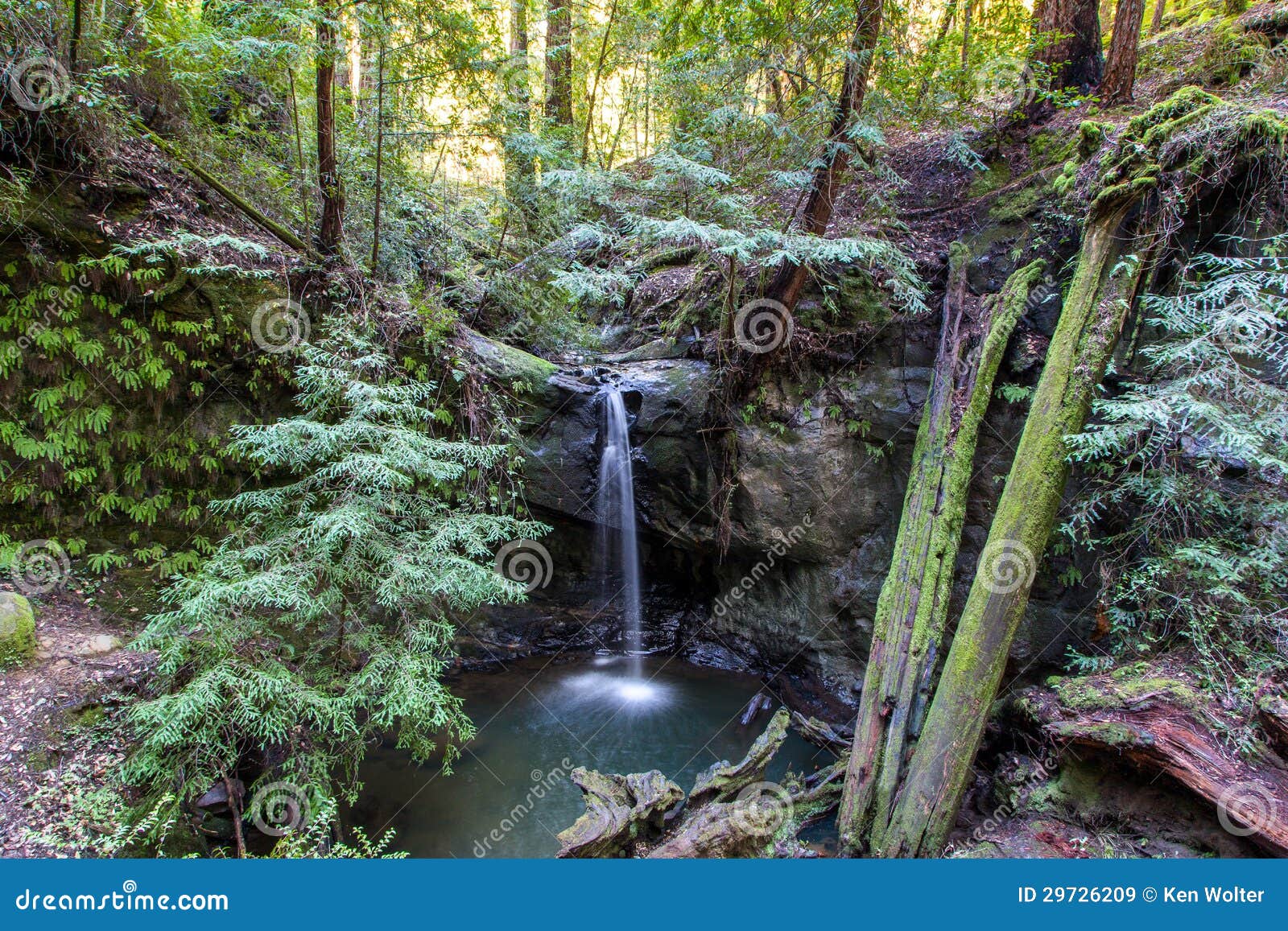 sempervirens falls in big basin redwoods state park, california