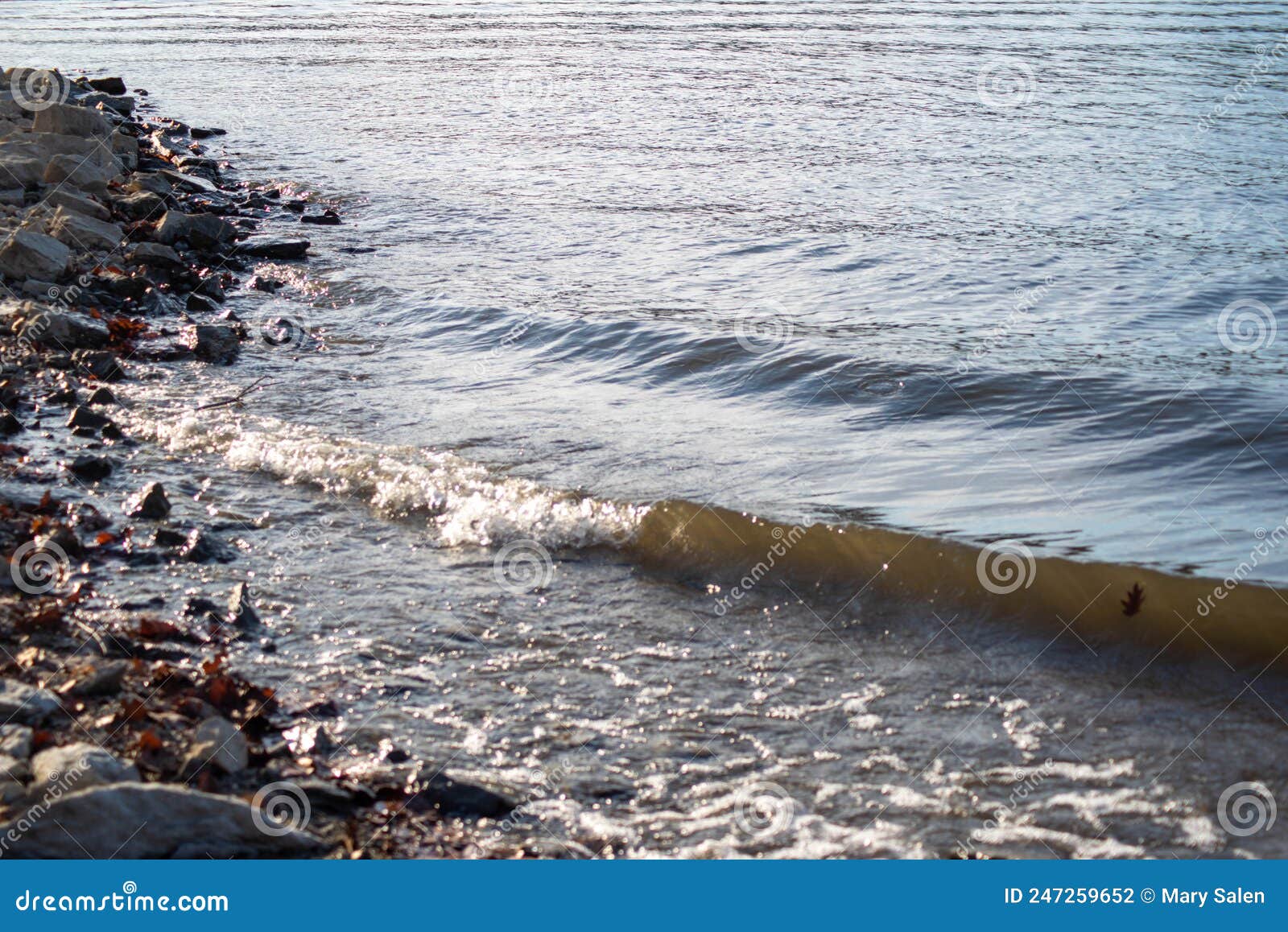 Tranquil Shoreline with Gentle Waves Stock Photo - Image of beach ...