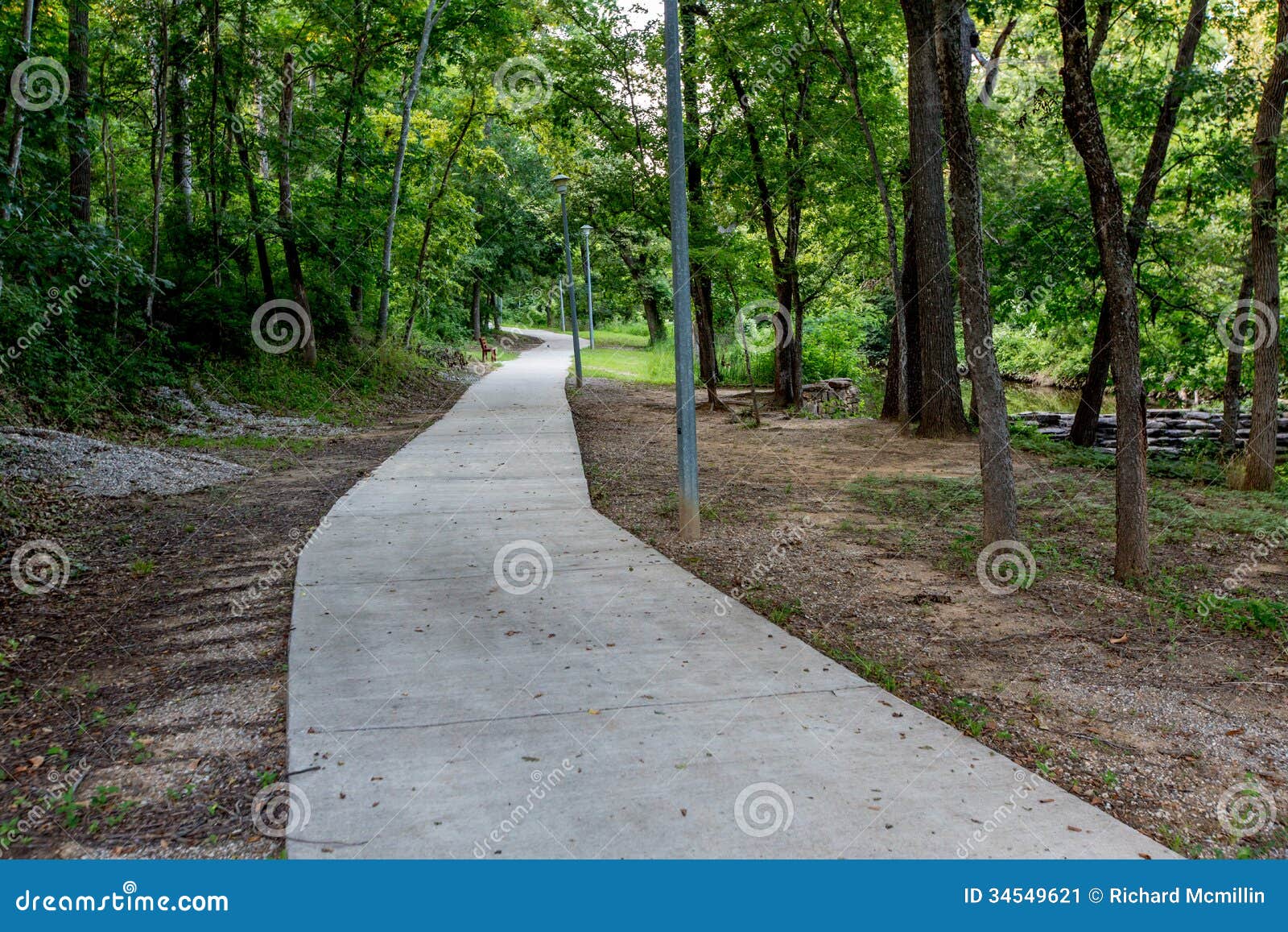 a tranquil spring or summer wooded nature trail or outdoor scene
