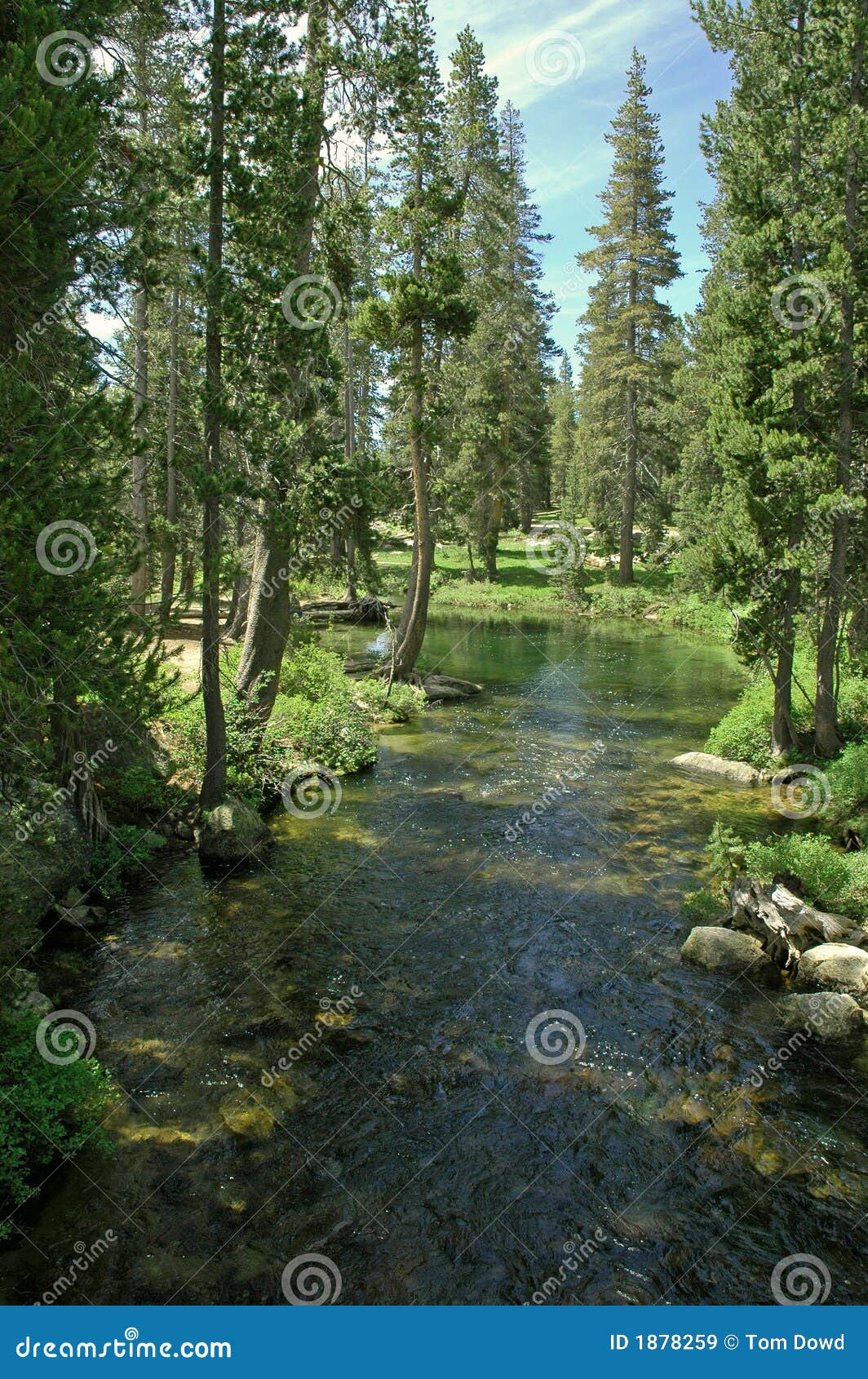 tranquil stream
