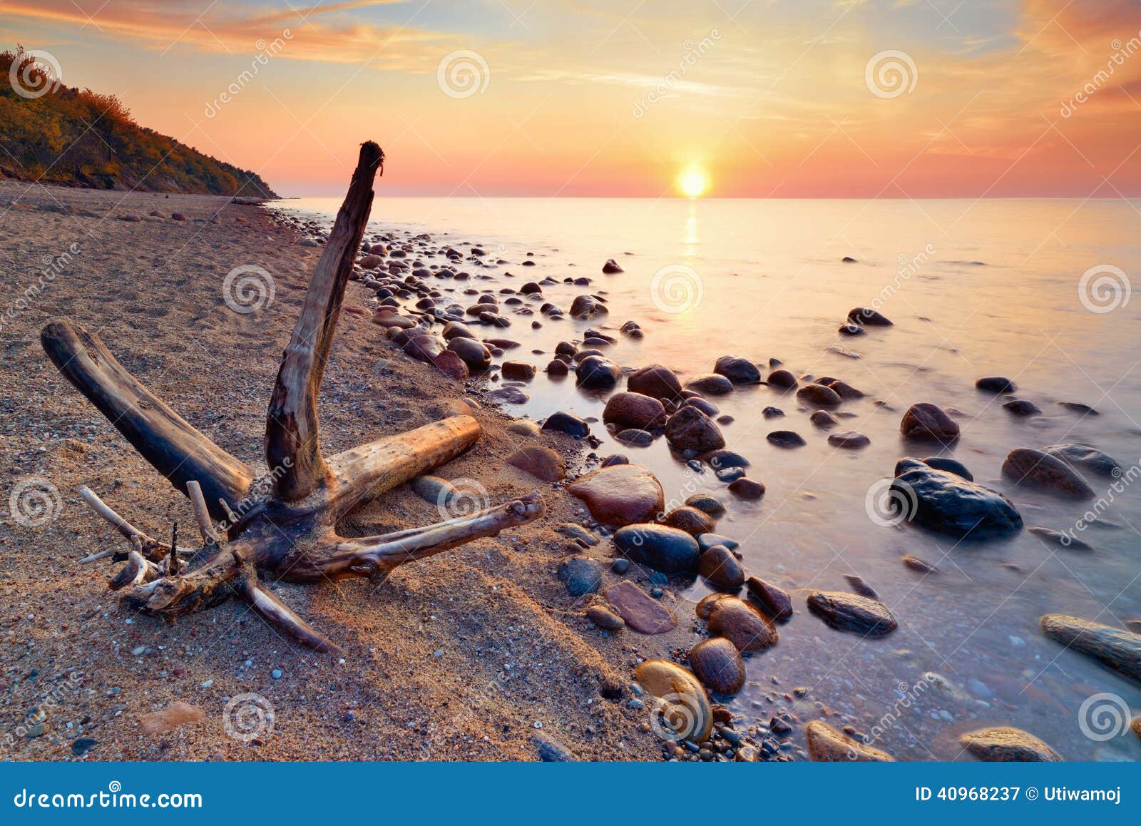baltic sea coast tranquil sunshine. trunk on beach