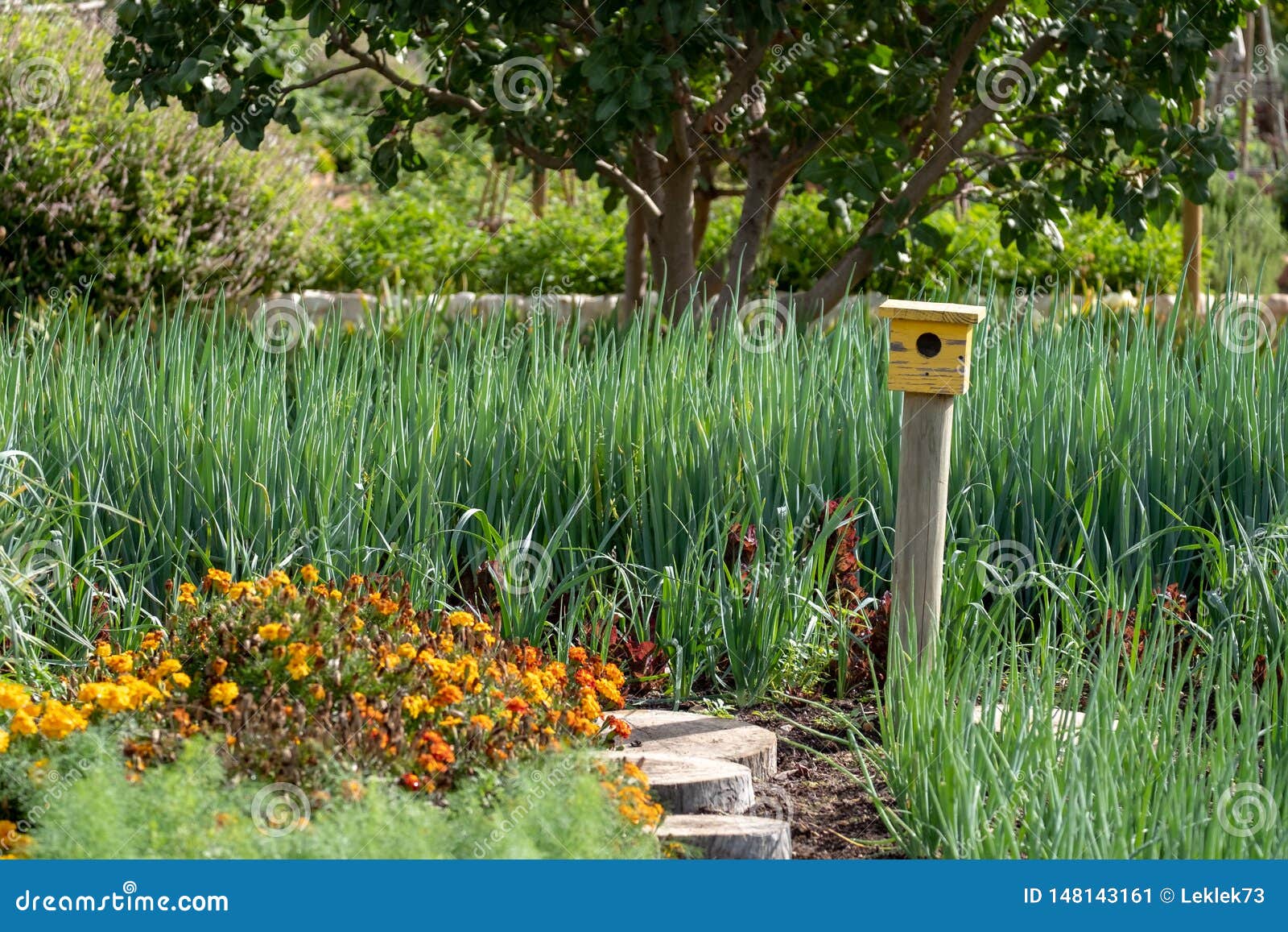 Tranquil Well Stocked Garden And A Yellow Bird House At The - 