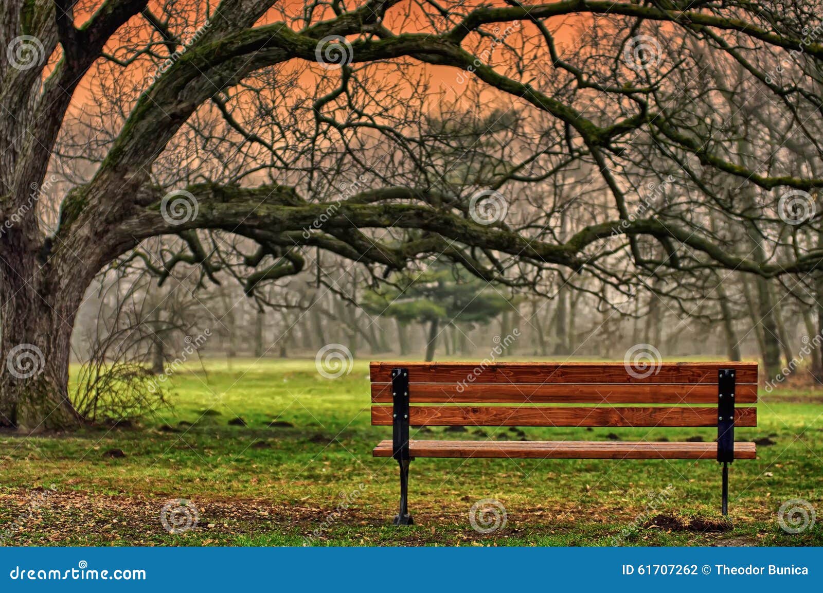 autumn landscape. the tranquility of the park. romantic and peaceful place. autumn background