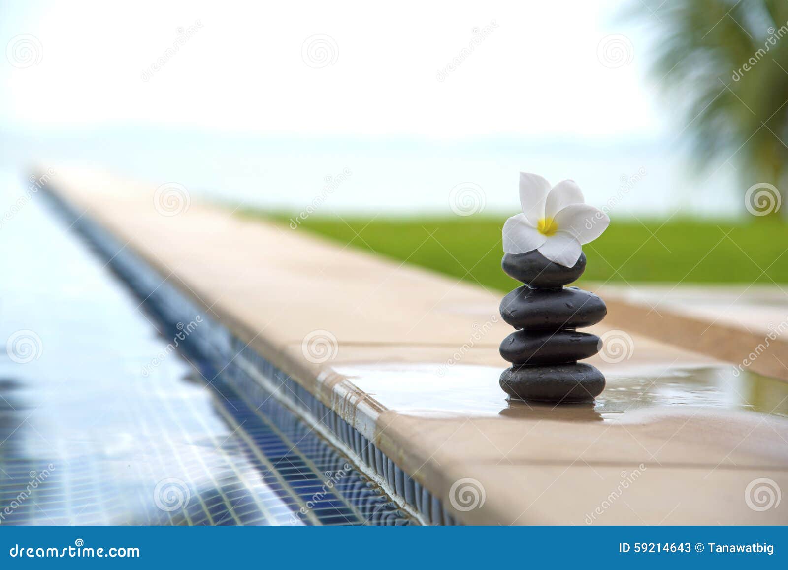 117,901 Peaceful Life Stock Photos - Free & Royalty-Free Stock Photos from  Dreamstime