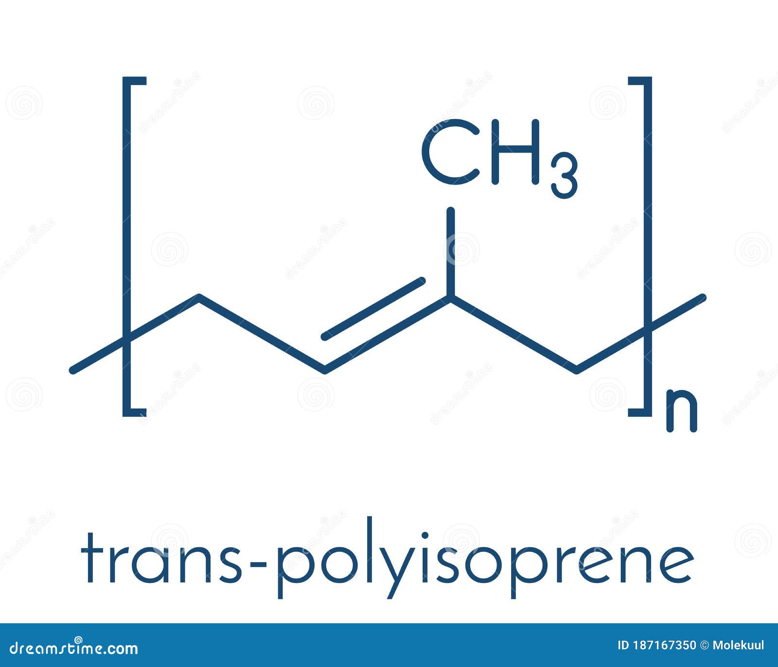 trans-1,4-polyisoprene polymer, chemical structure. main component of gutta-percha. skeletal formula.