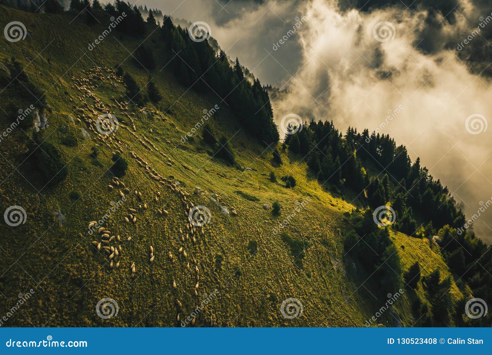 transhumant herders transhumant herders