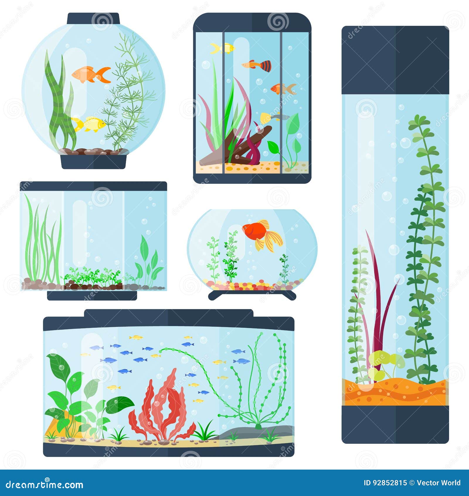 Aquarium Big Room Stock Illustrations – 85 Aquarium Big Room Stock  Illustrations, Vectors & Clipart - Dreamstime