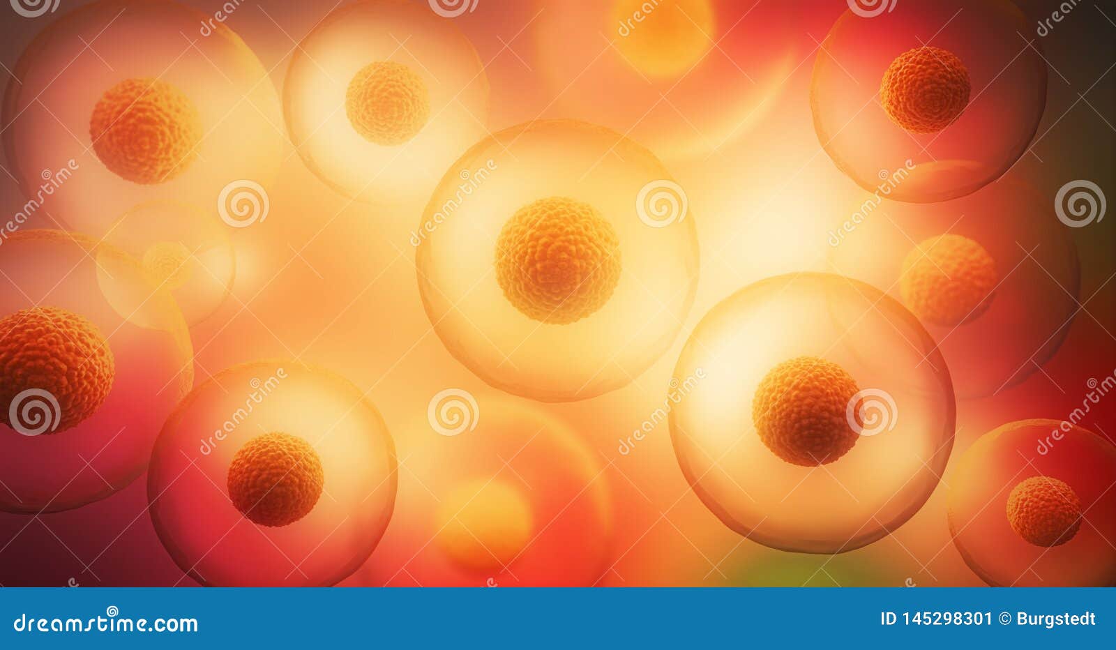 Transparent Cells with Nucleus on Yellow Background Stock Illustration -  Illustration of growth, cloning: 145298301