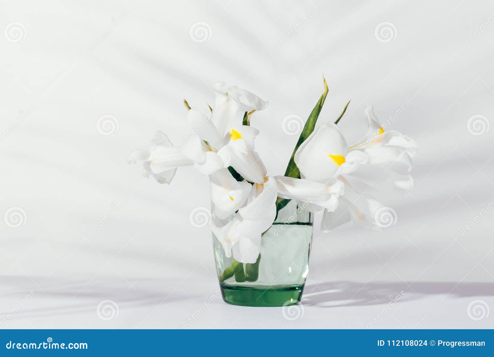 Transparent Green Vase with White Flowers Stock Photo - Image of botany ...