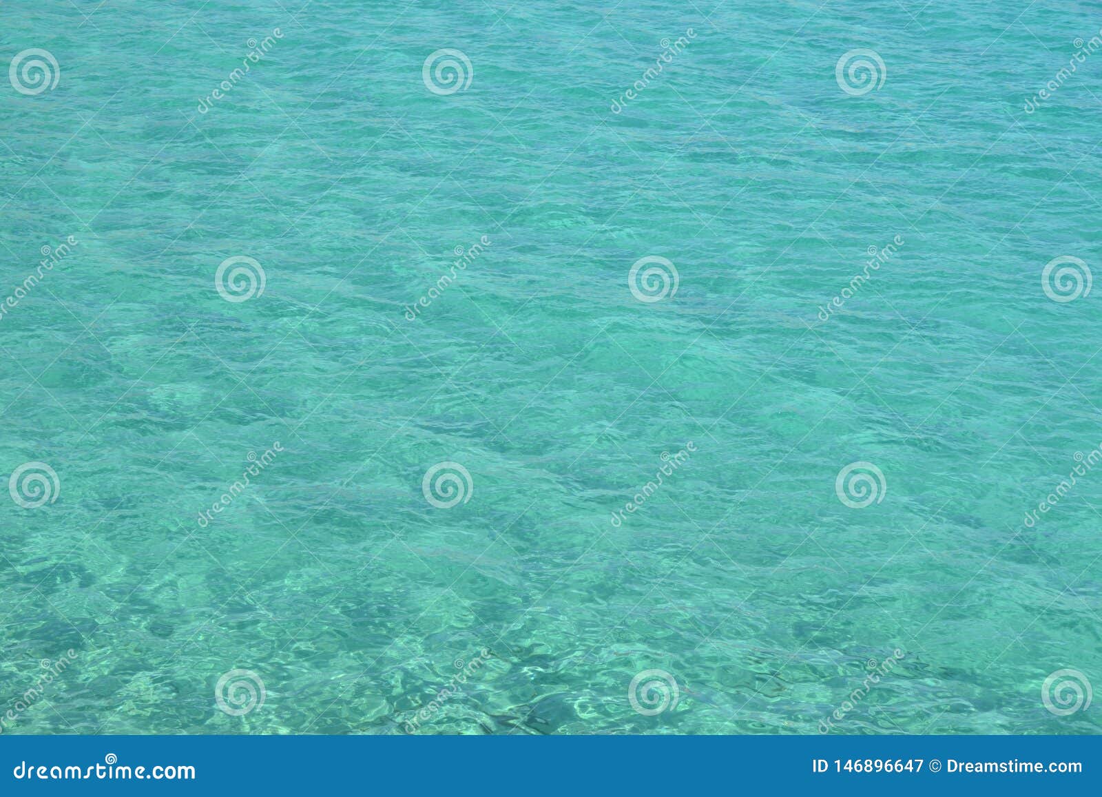 transparent lovely sea ocean