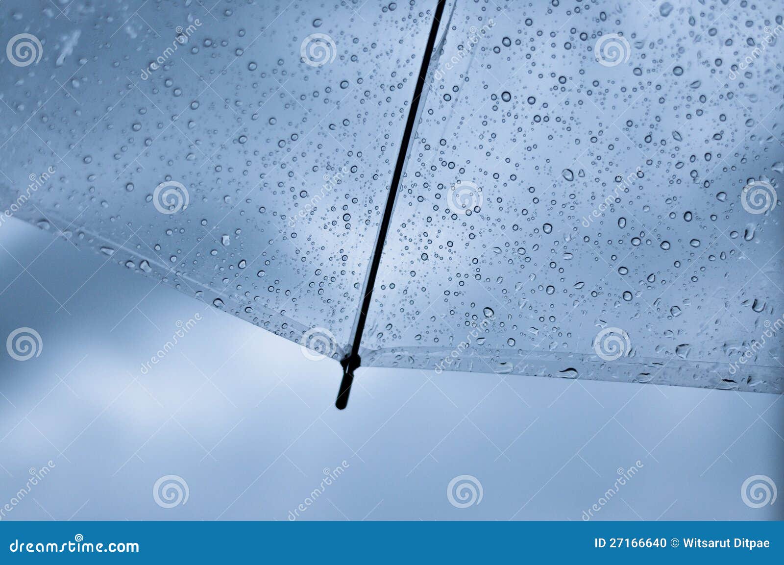 transparent umbrella with raindrop