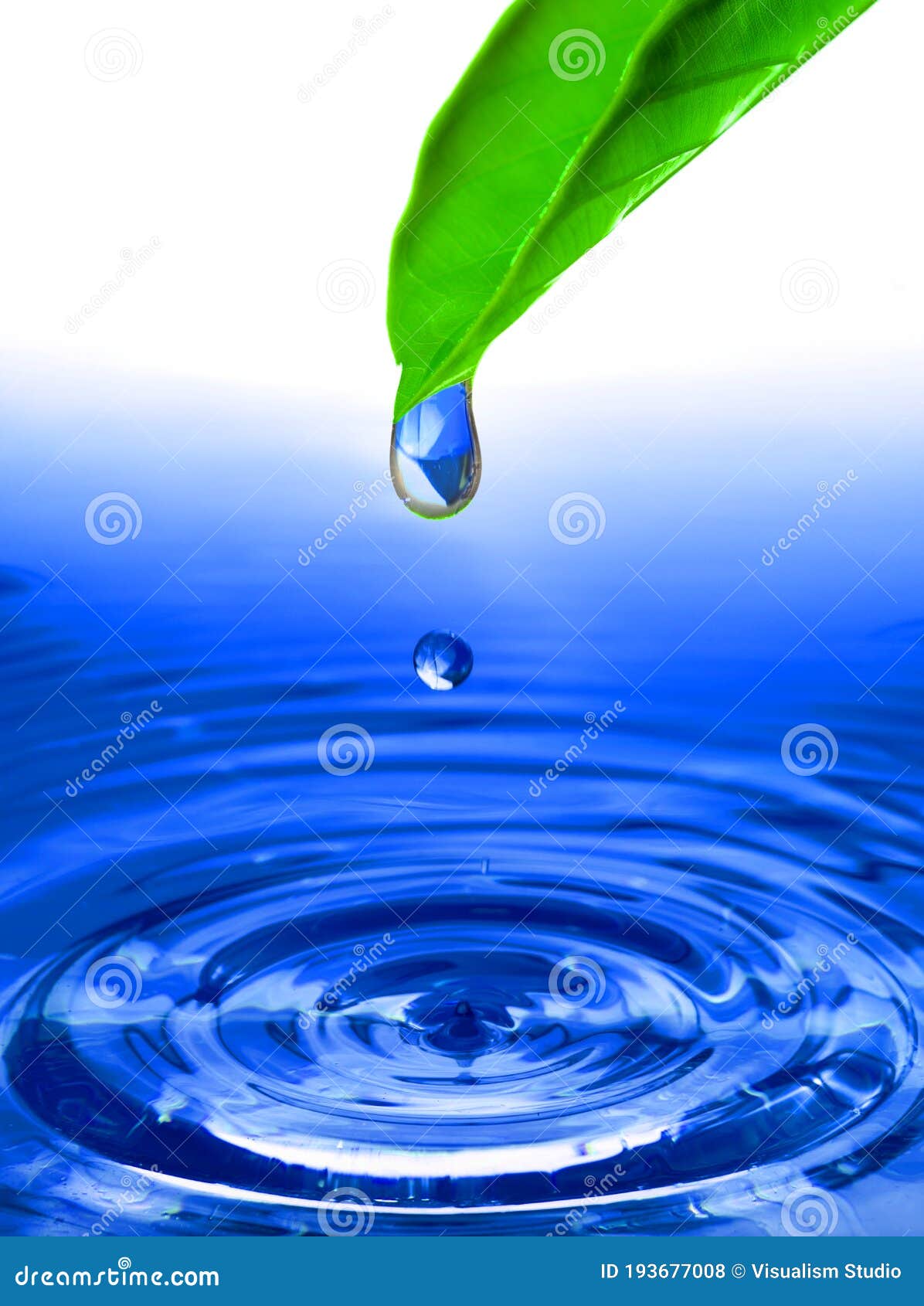 Transparent Water Drop Splash Realistic Green Leaf And Blue Water Colored On White Stock Photo Image Of Green Health
