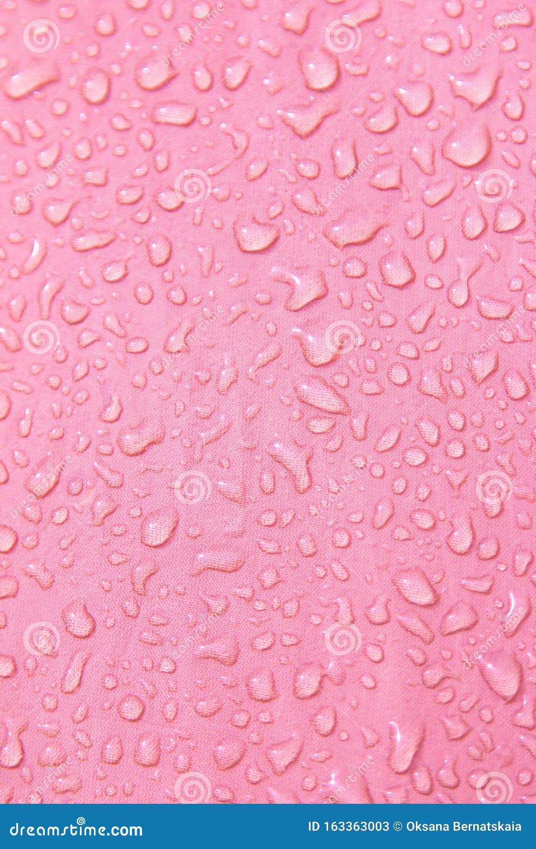 5 121 Transparent Water Drops Pink Background Photos Free Royalty Free Stock Photos From Dreamstime
