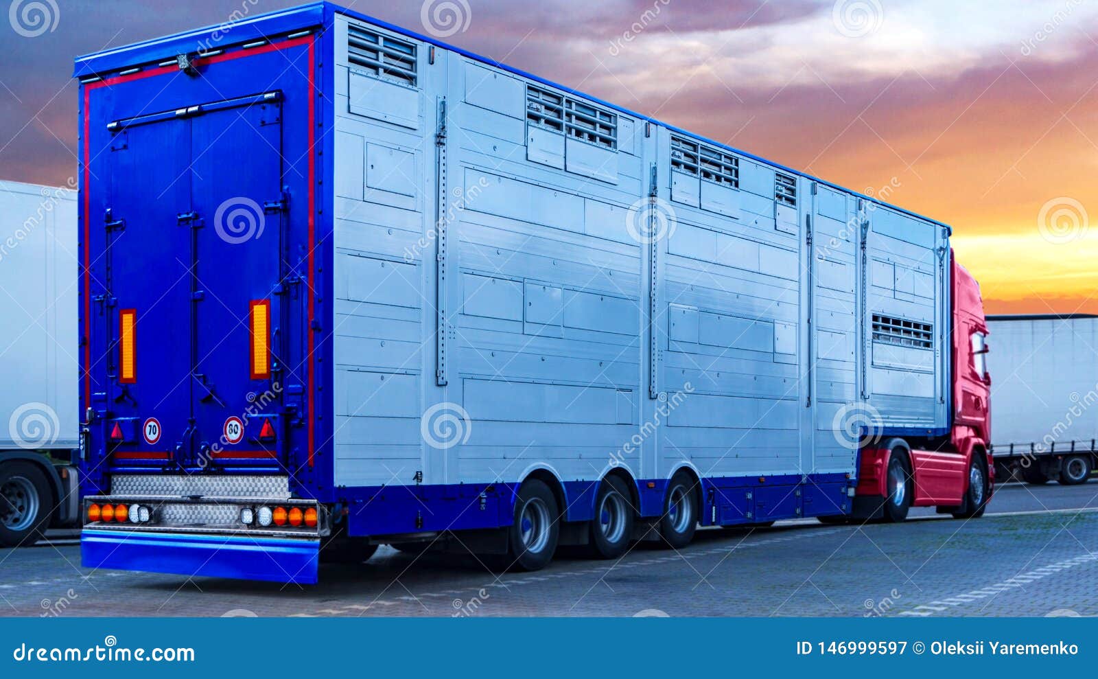 Transport of Live Animals . Stock Image - Image of auto, courier: 146999597