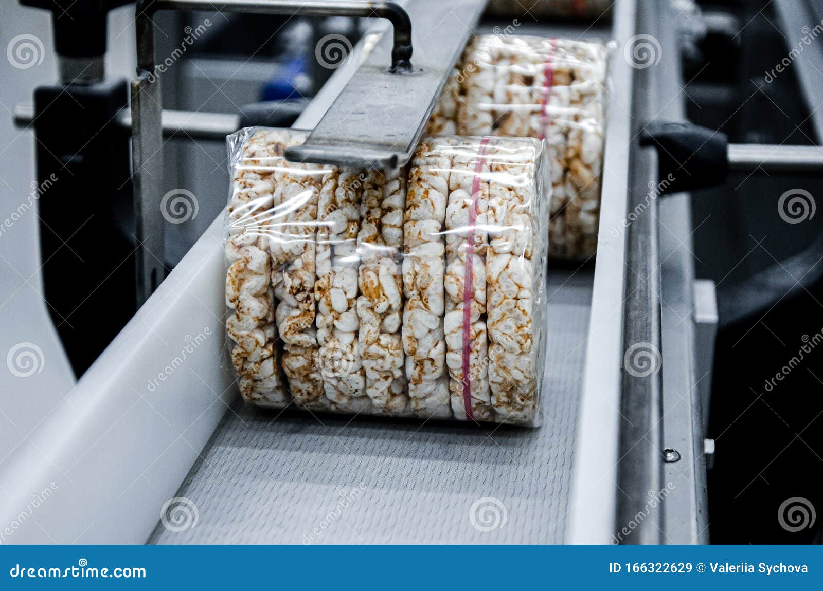 Transportation from One Process To Another on Food Production Line. Modern Equipment Food