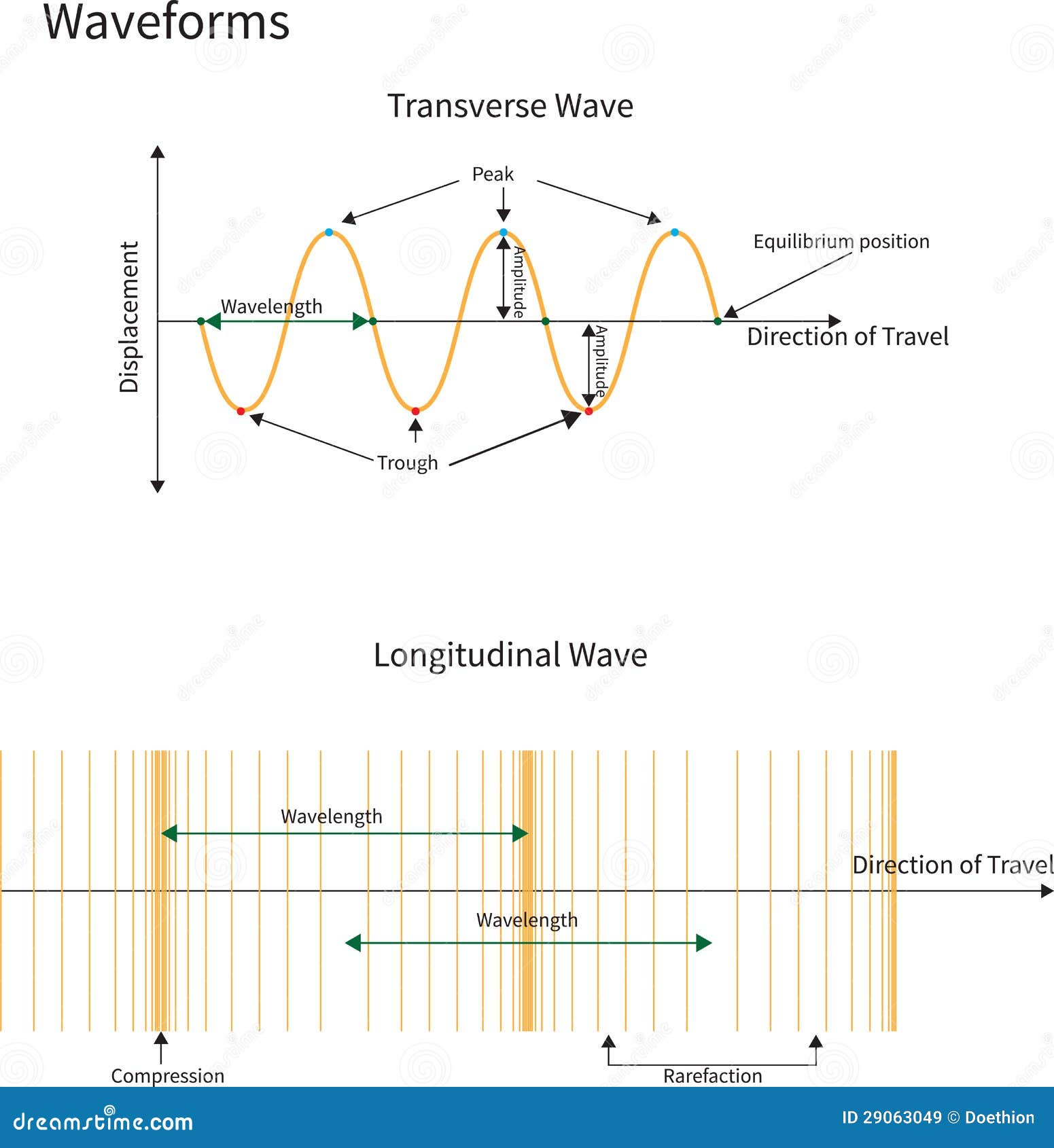 transverse and longitudinal waves