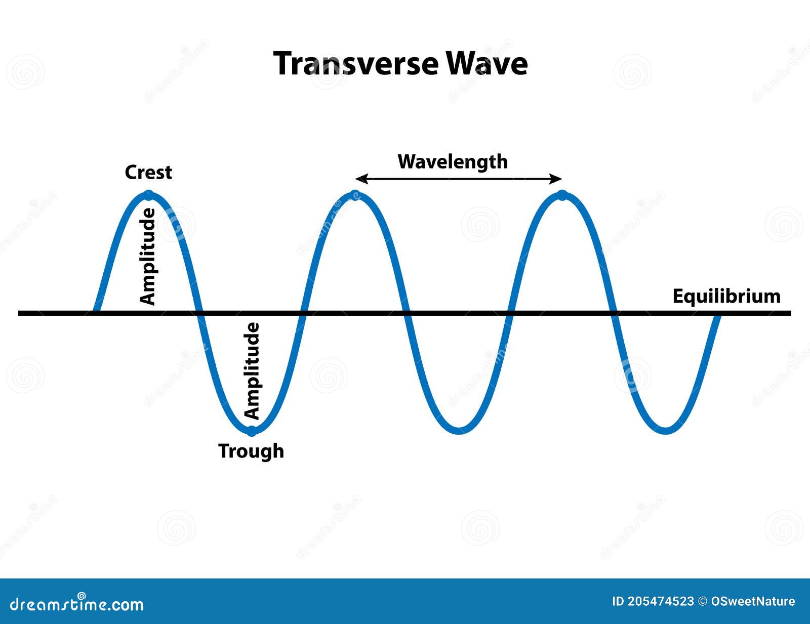 Labelled Diagram Of A Transverse Wave | Images and Photos finder