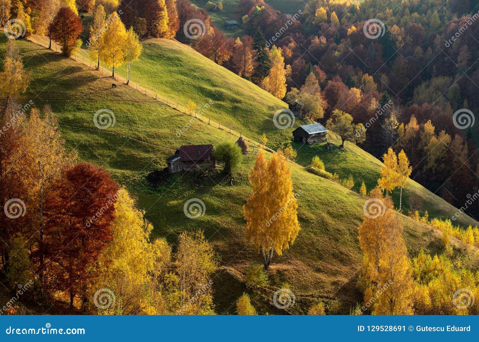 Transylvania Time , Romania Country Side Stock Image - Image of masiff, side: 129528691