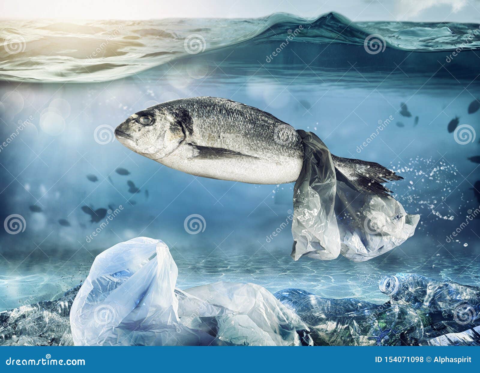 Trapped Fish By A Floating Bag. Problem Of Plastic Pollution Under.
