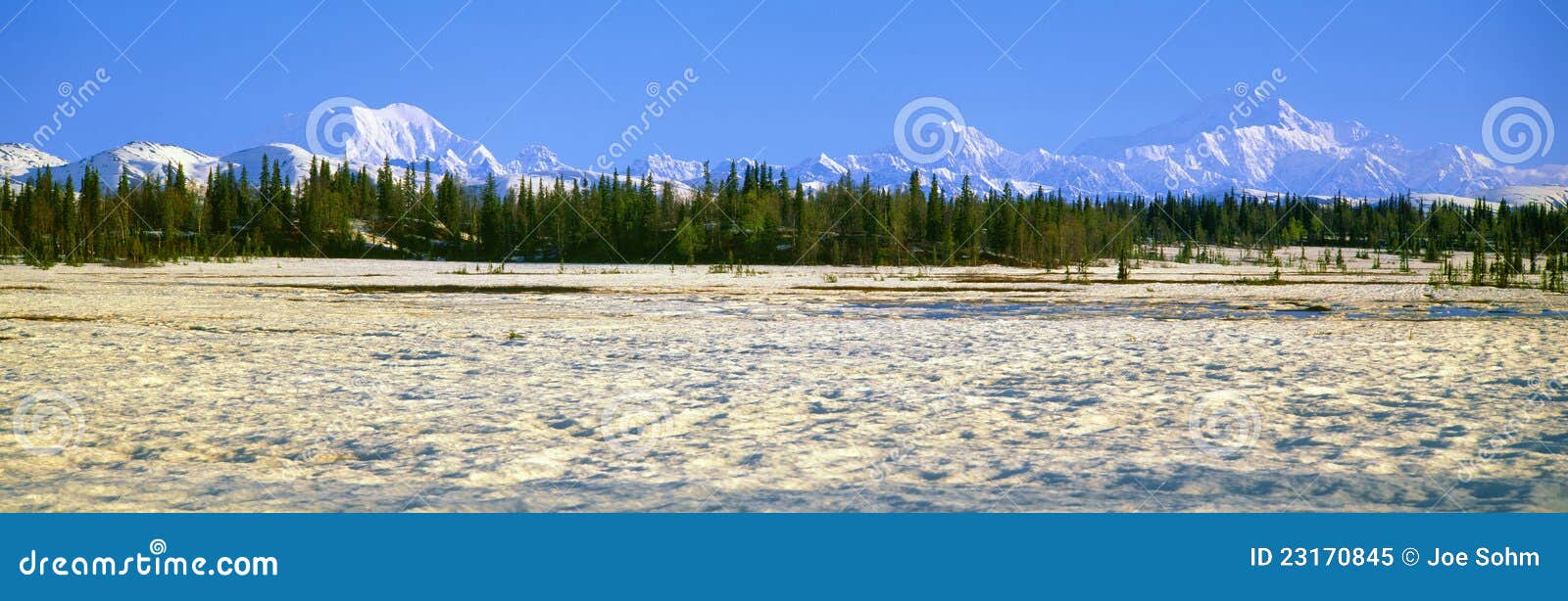 trapper creek and mount mckinley,