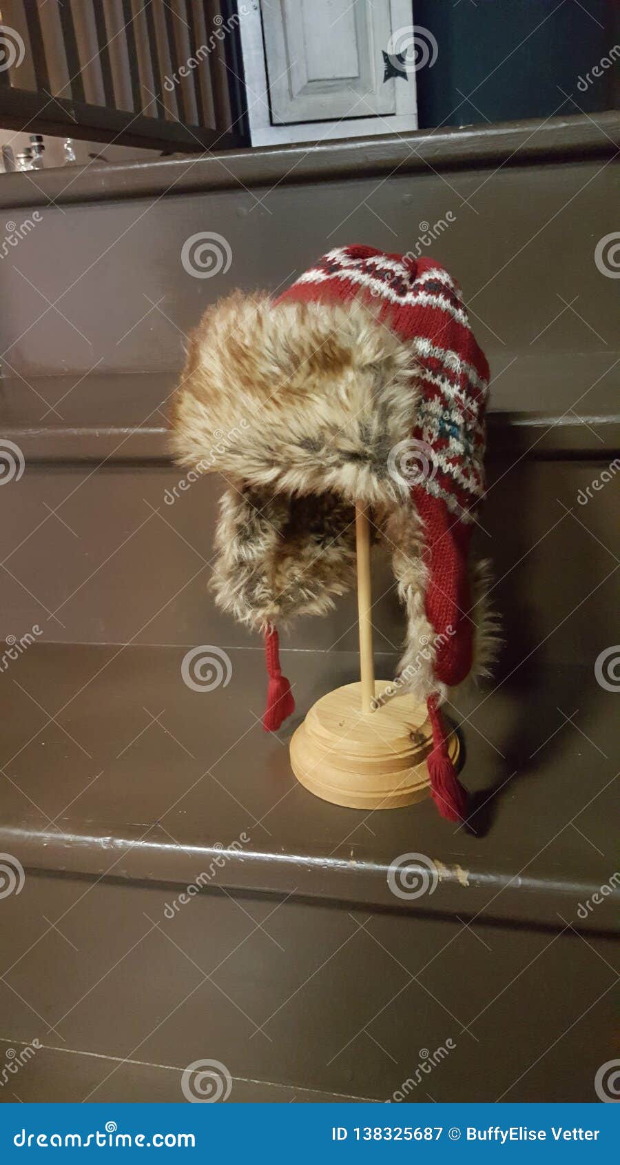 The Trapper Hat stock image. Image of little, trapper 138325687