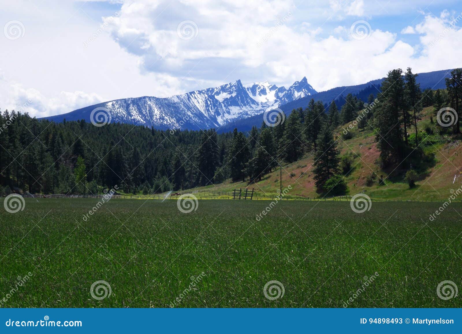 trapper peak, bitterroot mountains - montana