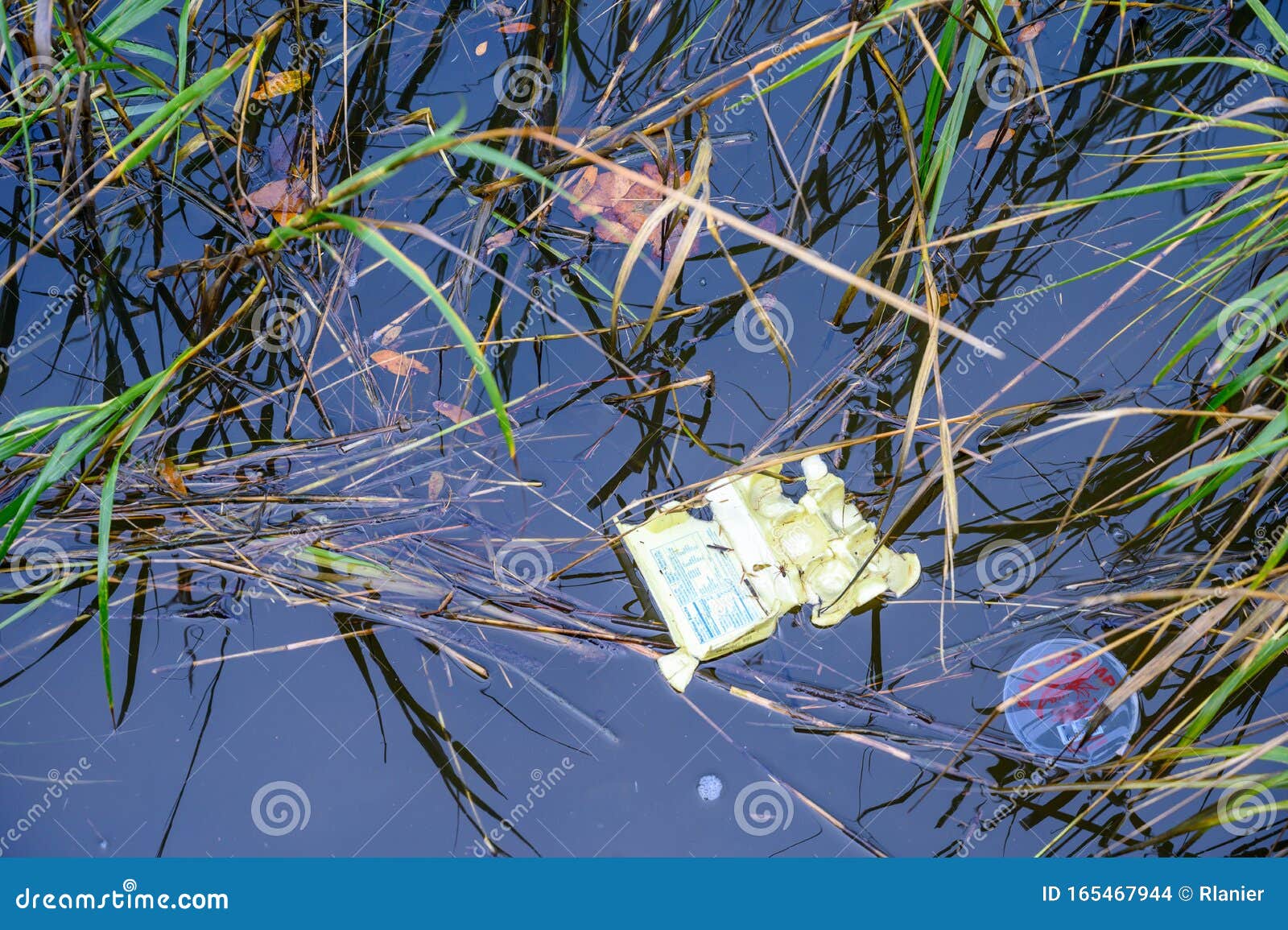 Trash Floating in the Water. the Trash Objects Float among the Marsh