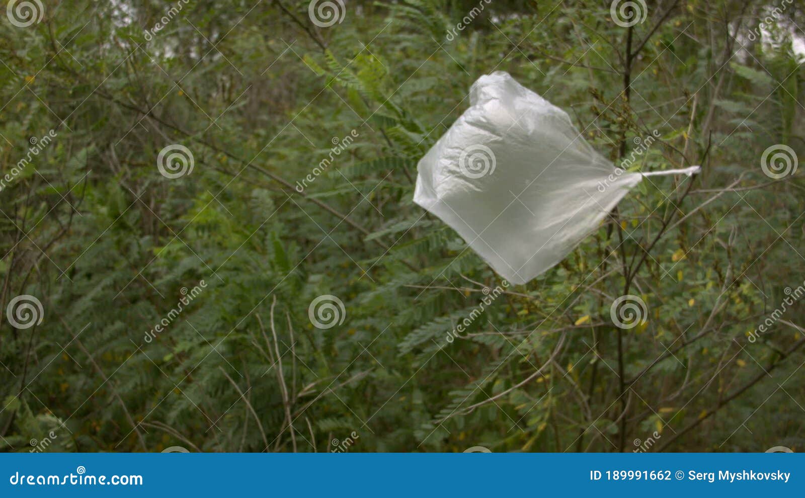 https://thumbs.dreamstime.com/z/trash-plastic-bag-wind-tree-recorded-raw-camera-189991662.jpg