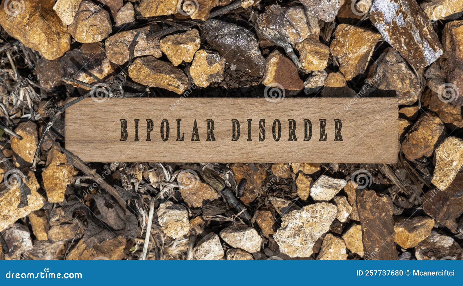 Trastorno Bipolar Escrito Sobre Una Superficie De Madera Marco De trastorno-bipolar-escrito-sobre-una-superficie-de-madera-marco-de