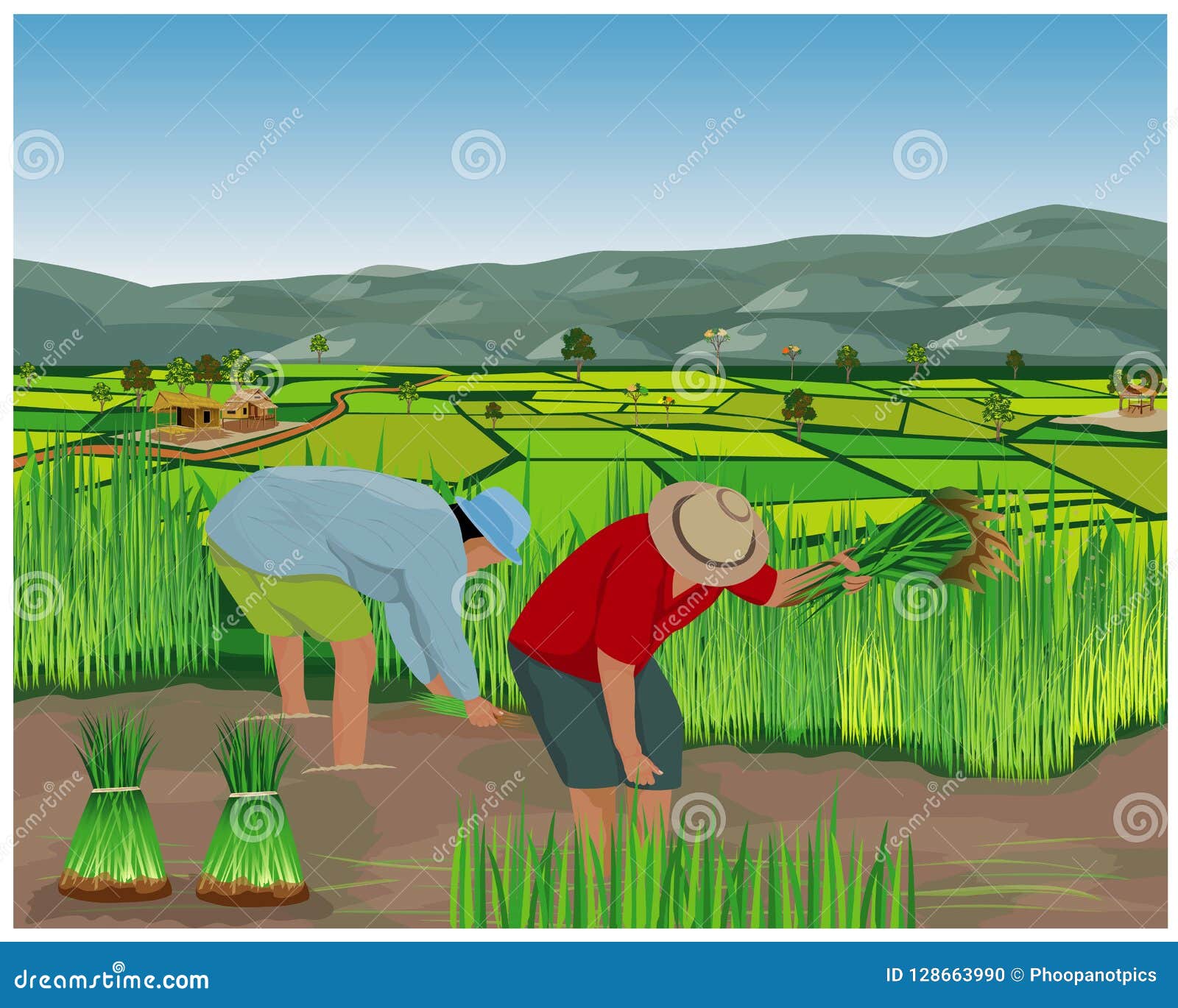 Travail De Forme De Bande Dessinee D Agriculteur Dans La Riziere Illustration De Vecteur Illustration Du Agronome Fermier