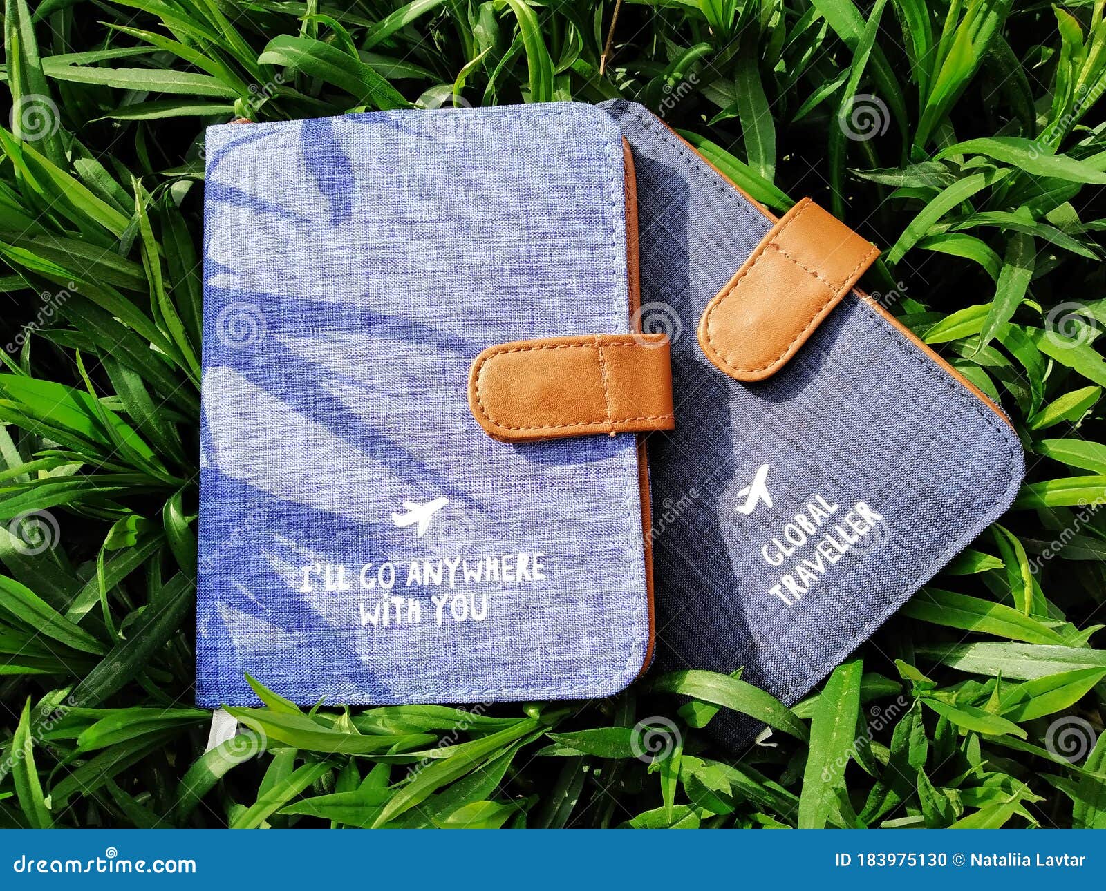 Travel Accessories, Cover for a Passport on a Background of Greenery. Stock Photo Image of