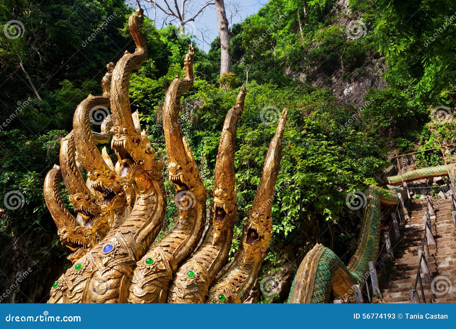 travel tailandia.triÃÂ¡ngulo golden-headed dragons ladder