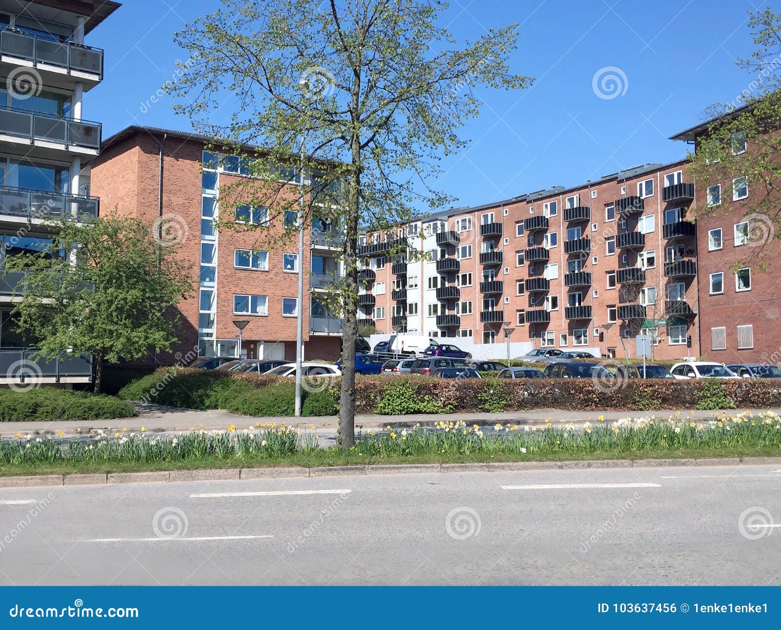 panoramic view over silkeborg,denmark