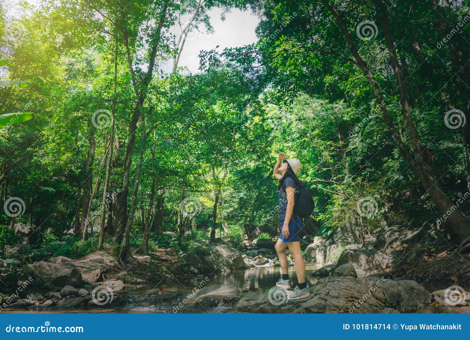 Travel Woman Climbing on Rock, the Way To Waterfall in Natural P Stock ...