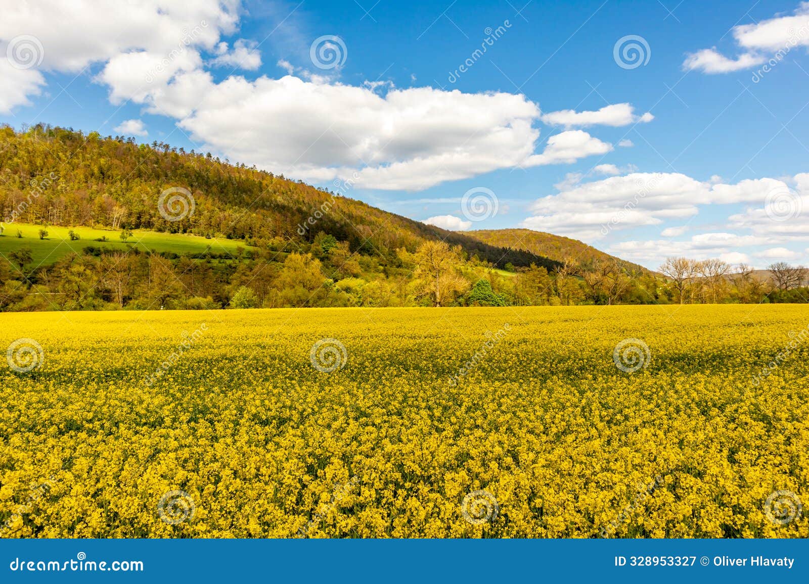 travelling by bike on the 1st werratal cycle route stage from the source of the werra near fehrenbach to werratal near wernshausen