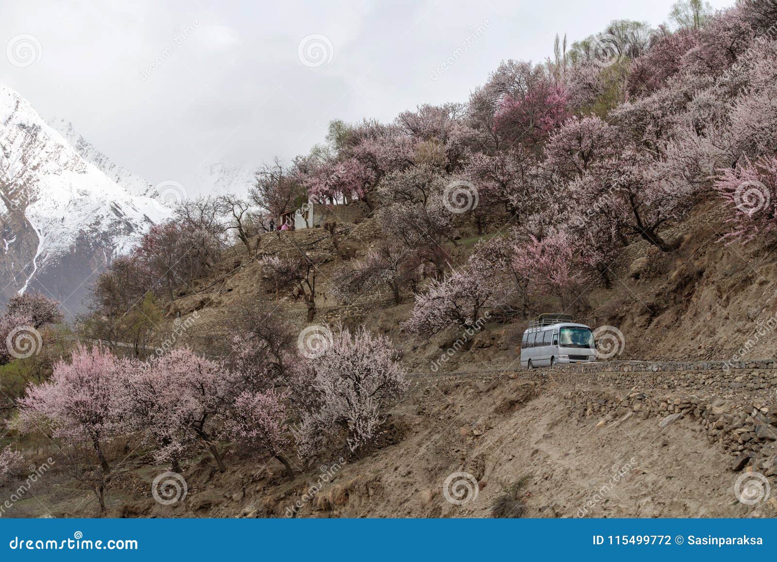 Off Road Tourist Bus Driving - Mountains Traveling instal the new Off Road Tourist Bus Driving - Mountains Traveling instal the new