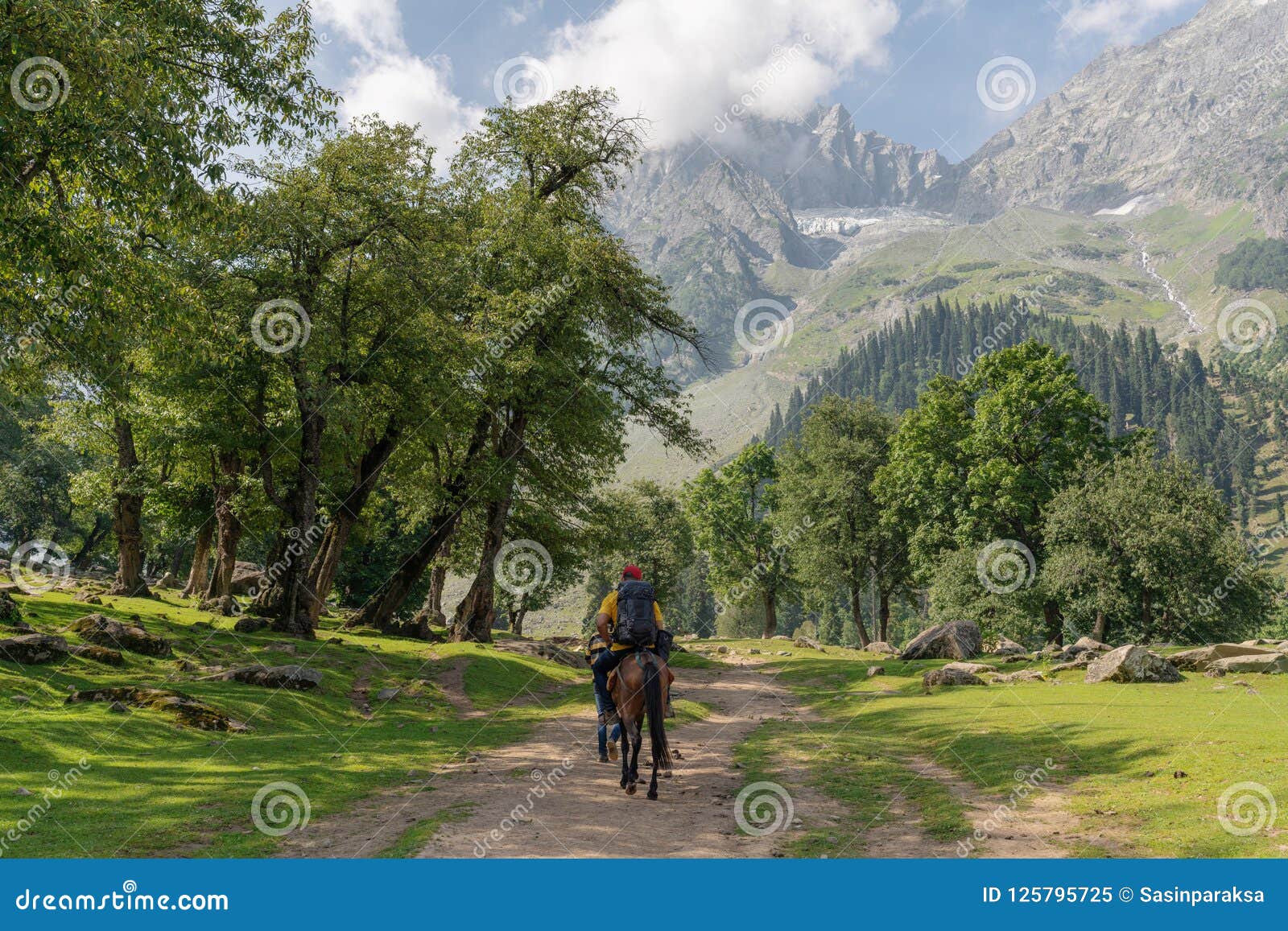 travelling in summer, backpacker riding horse in summer at sonamarg, jammu and kashmir india
