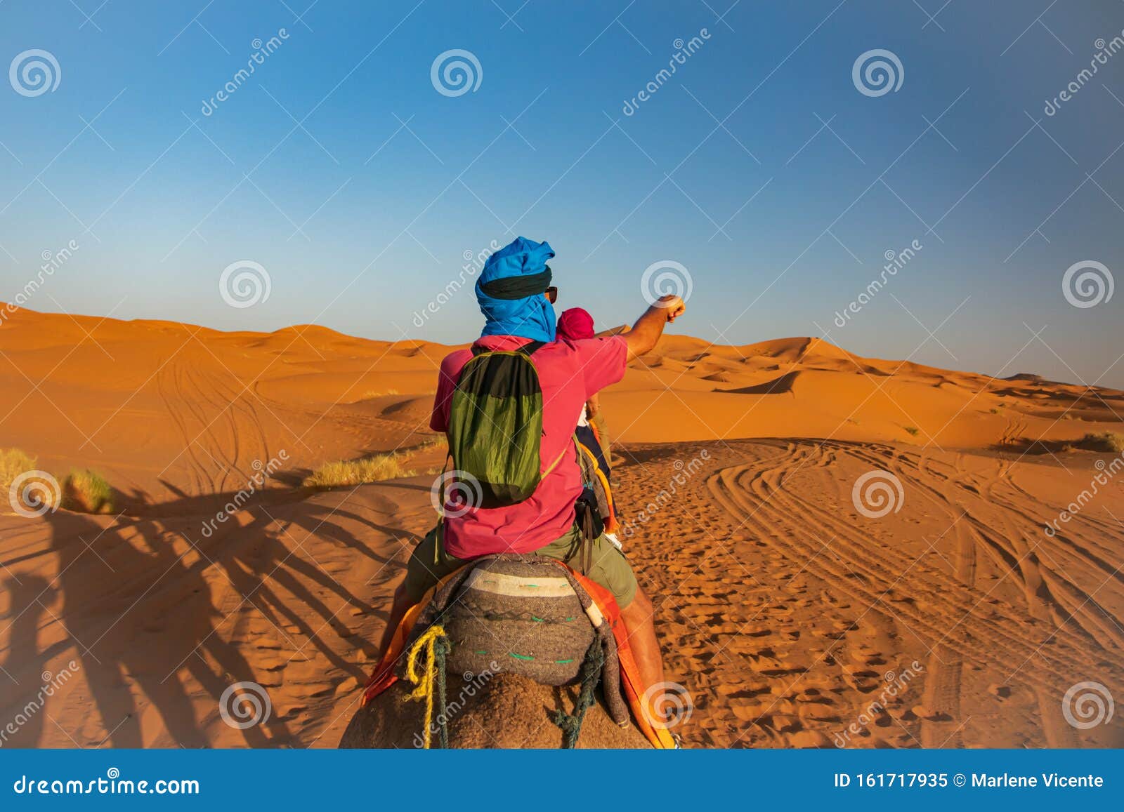 travesia en camello por el desierto del sahara. erg chebbi. merzouga. marruecos