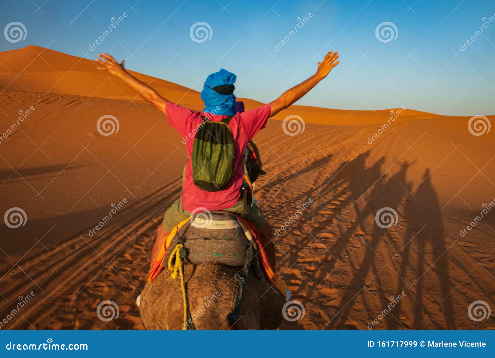 travesia en camello por el desierto del sahara. erg chebbi. merzouga. marruecos