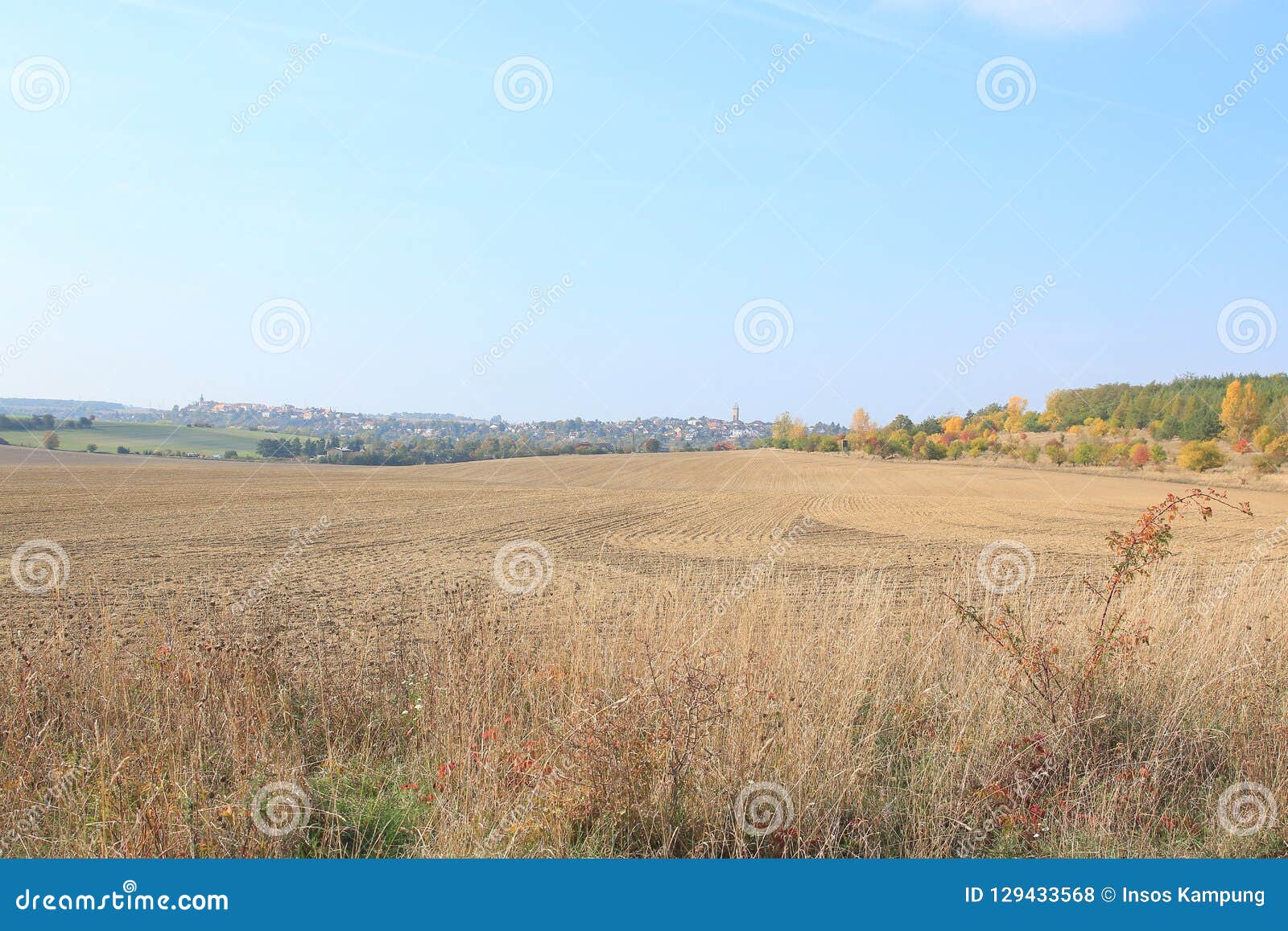 traviny nature reserve, czech republic