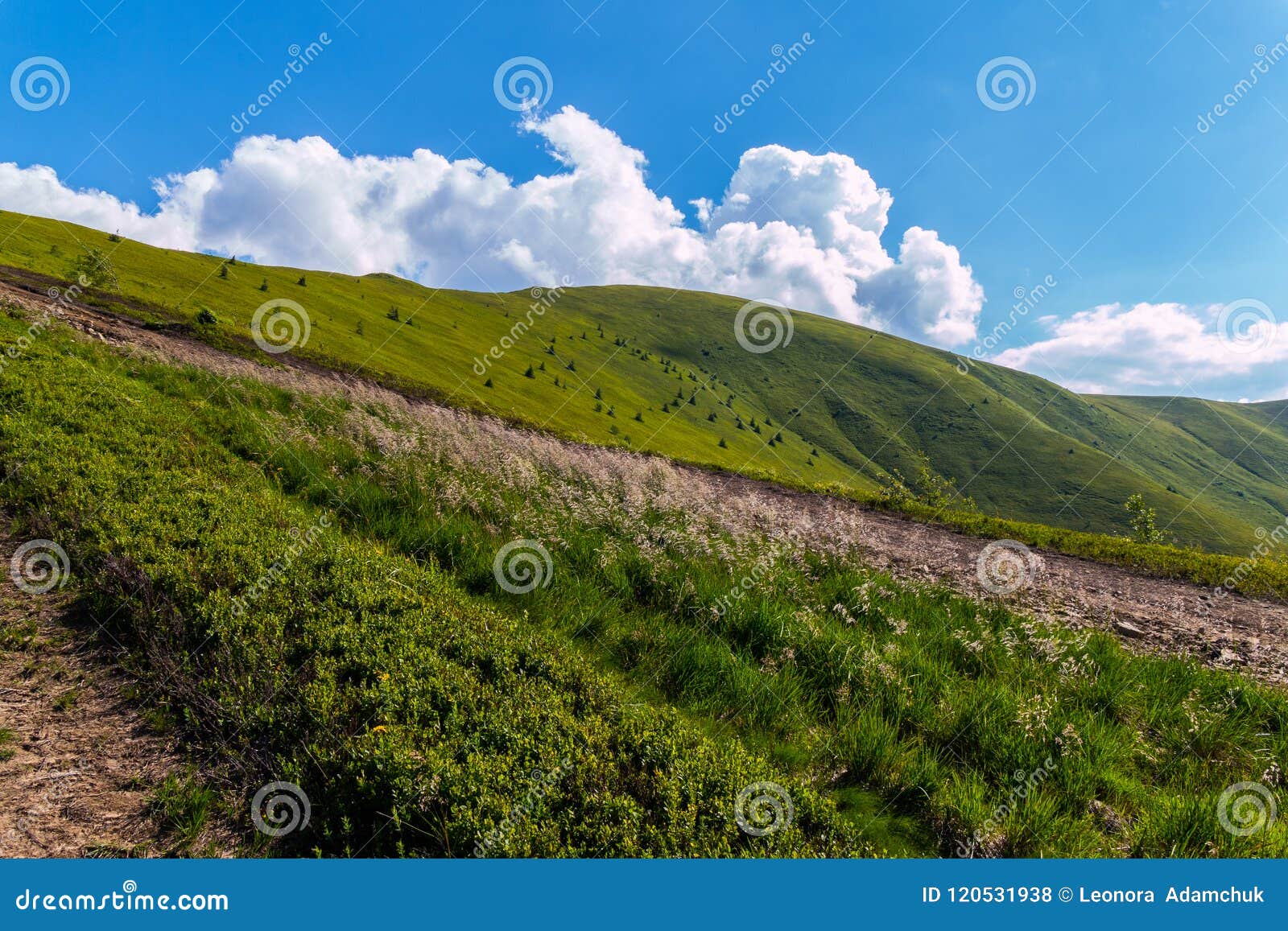 Trayectoria en la cuesta verde de la montaña debajo de un cielo azul brillante con las nubes Para su diseño