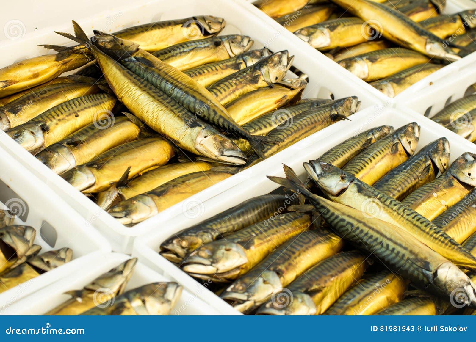trays with smoked mackerel scomber in market