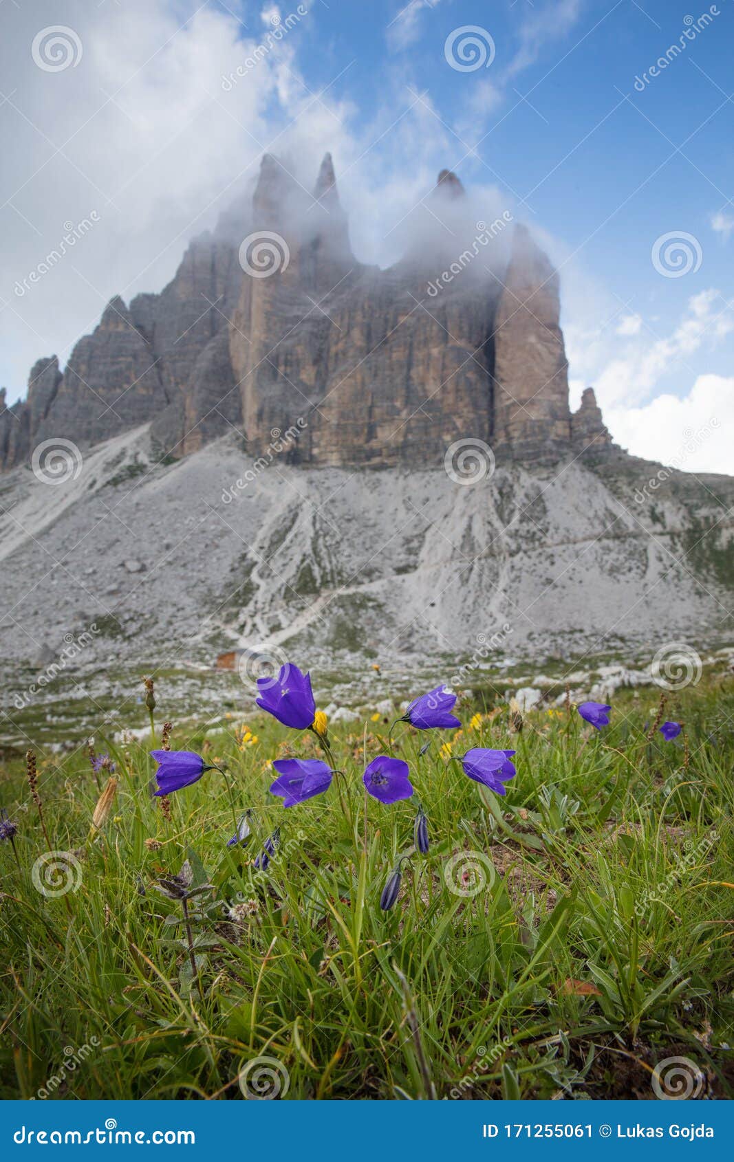 Tre Cime Di Lavaredo With Beautiful Flowering Meadow Stock