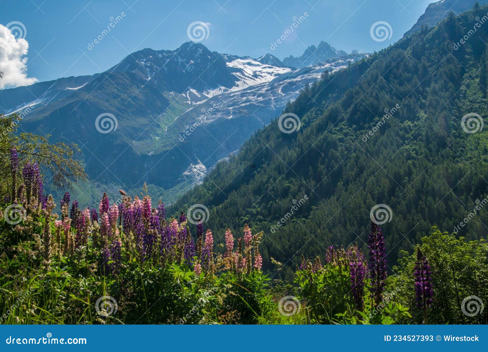 Tre Le Champ Hiking Trail in Chamonix in Haute-Savoie, France Stock
