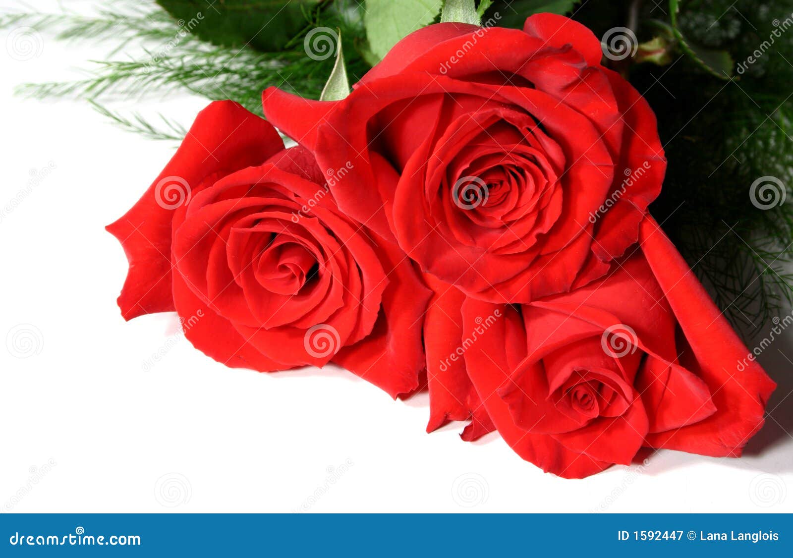 clipart rose rosse - photo #38