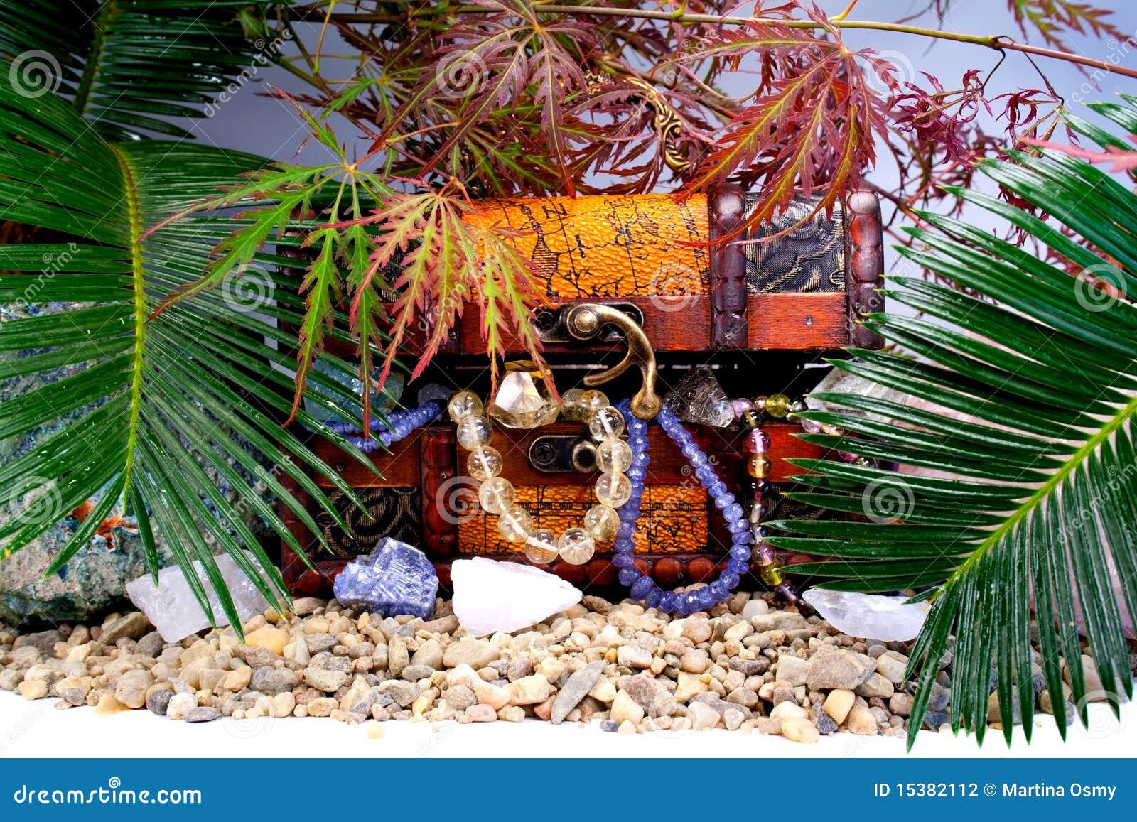 Treasure Chest Palm Trees Stock Photos Free & RoyaltyFree Stock