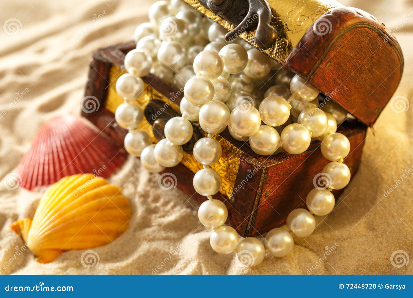 Treasure Chest with Seashells and Pearl Stock Photo Image of marine